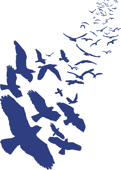 ravencoin logo